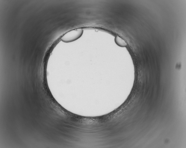 X0000116271270201001111007