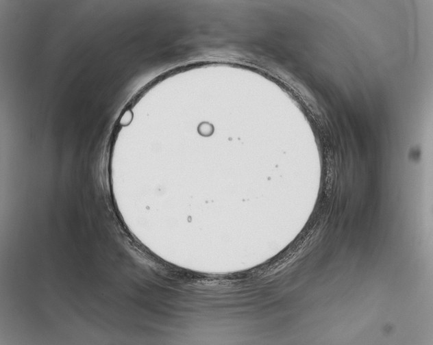 X0000116271272201001111007
