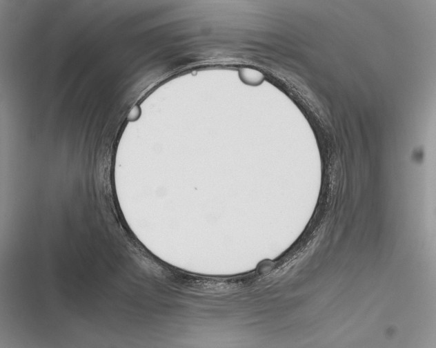 X0000116271273201001111007