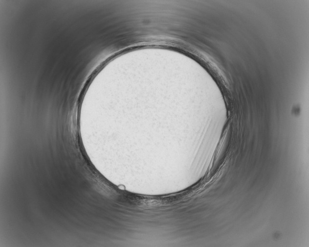 X0000116271275201001111007