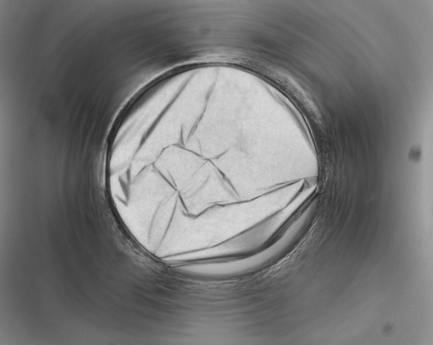 X0000116271276201001111007