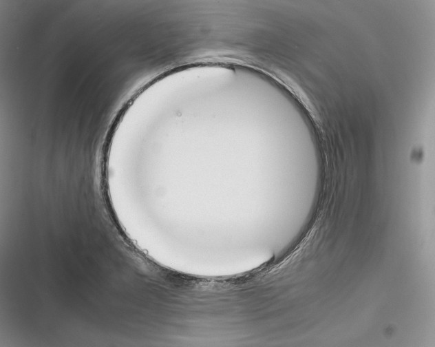 X0000116271277201001111007