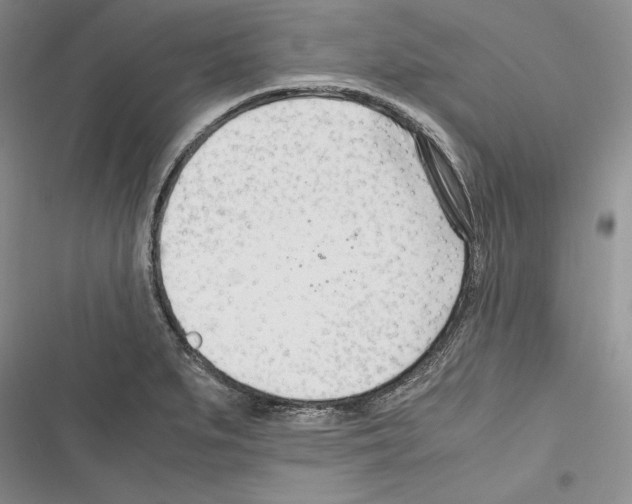 X0000116271279201001111007