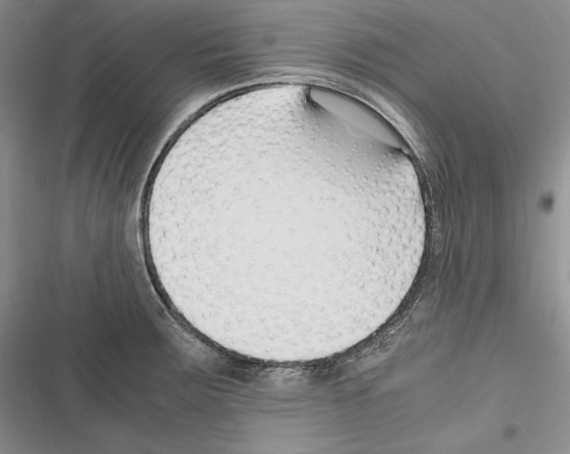 X0000116271283201001111007