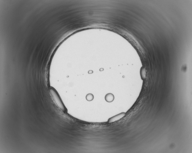 X0000116271284201001111007