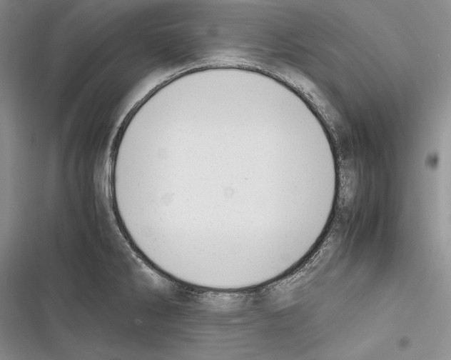 X0000116271286201001111007