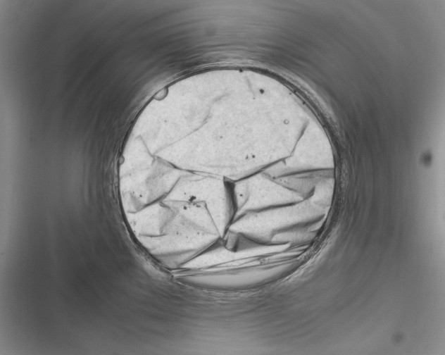 X0000116271289201001111006