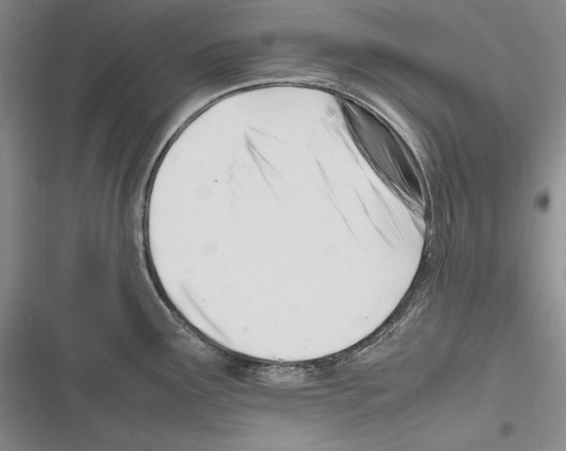 X0000116271291201001111006