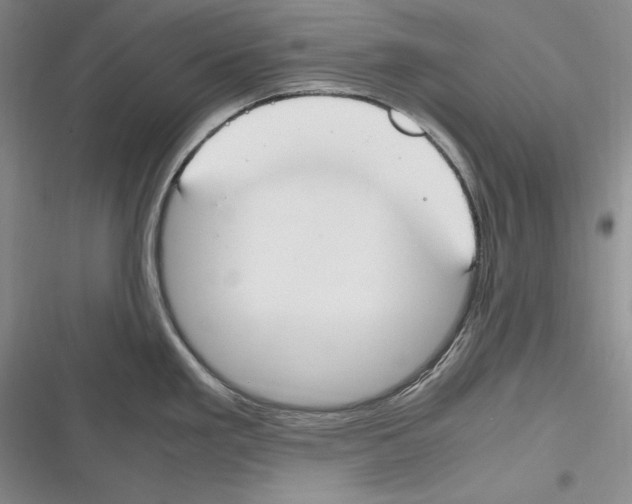 X0000116271293201001111006