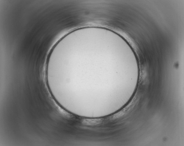 X0000116271294201001111006