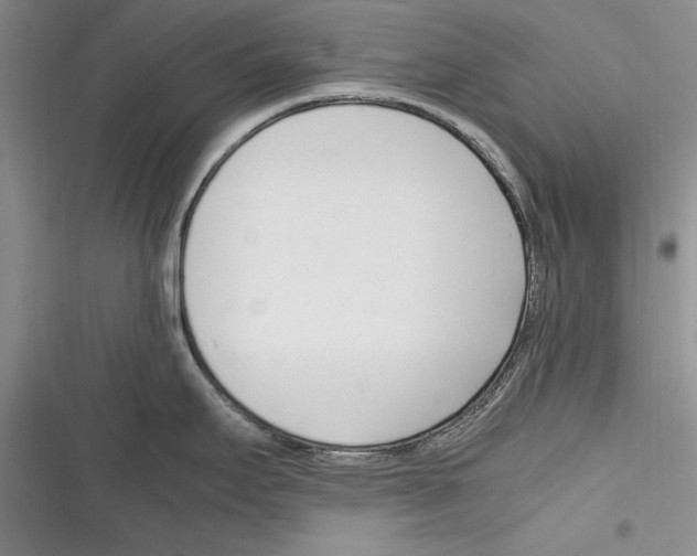 X0000116271295201001111006