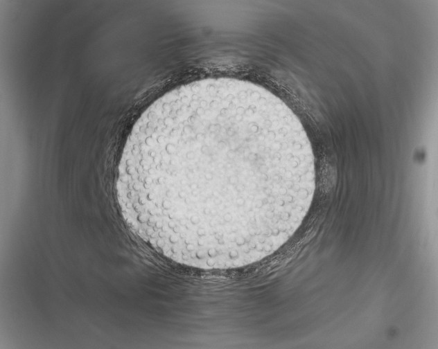 X0000116271297201001111006