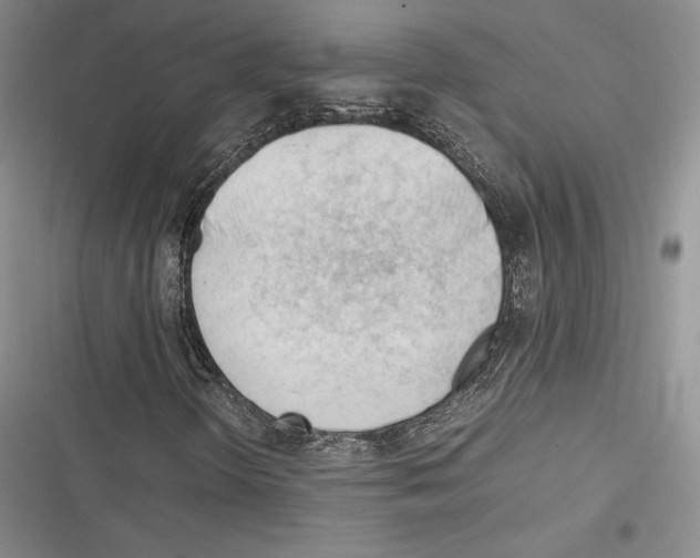 X0000116271298201001111006