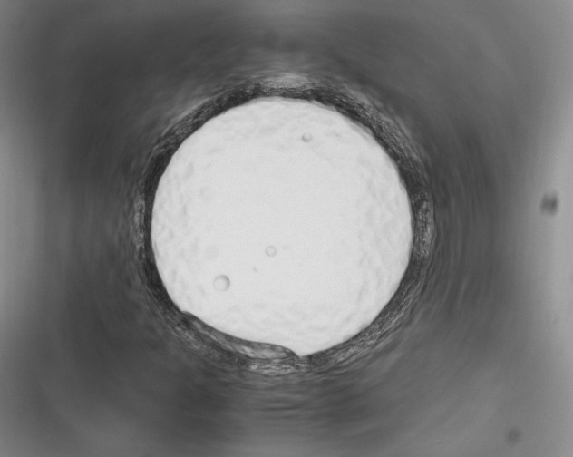 X0000116271301201001111006
