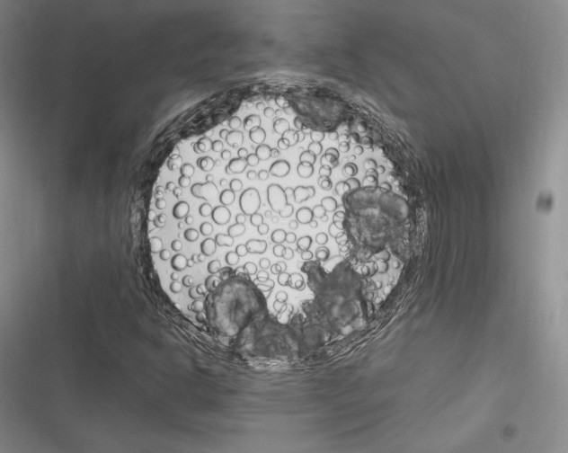 X0000116271302201001111006