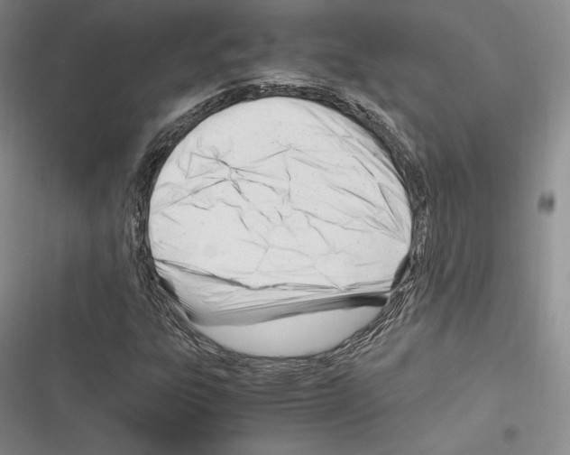 X0000116271303201001111006