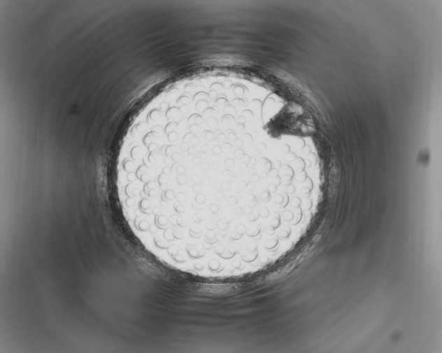 X0000116271305201001111006