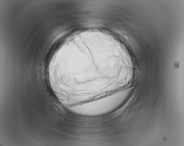 X0000116271306201001111006