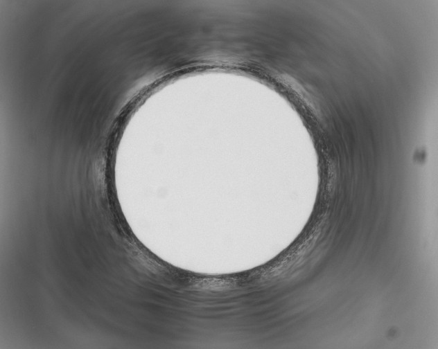 X0000116271307201001111006