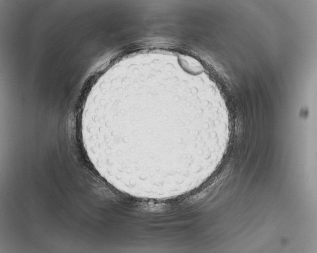 X0000116271309201001111006