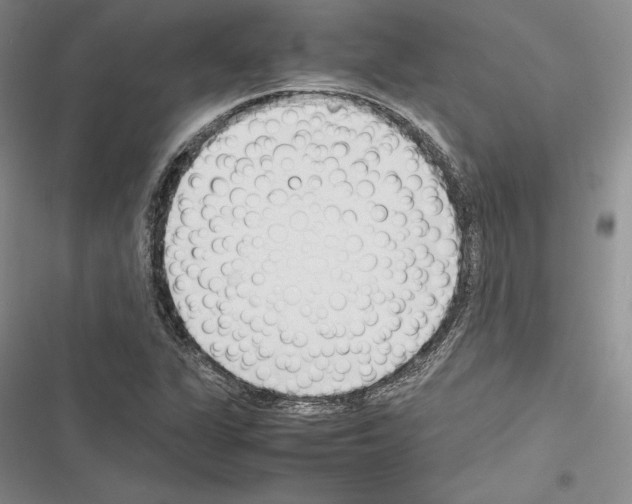 X0000116271311201001111006