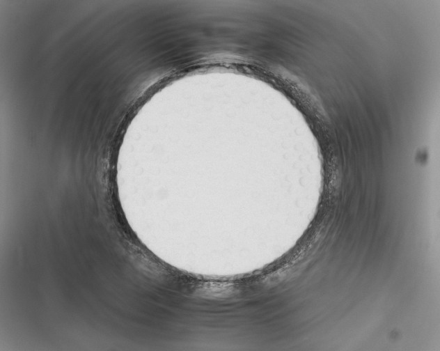 X0000116271313201001111006