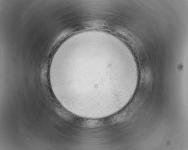 X0000116271314201001111006
