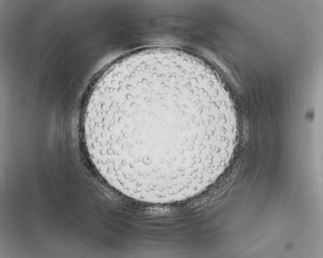 X0000116271315201001111006