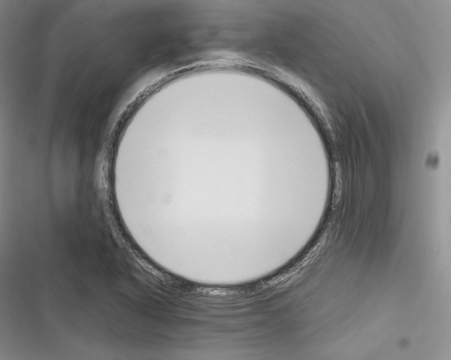 X0000116271318201001111006