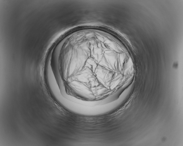 X0000116271319201001111006