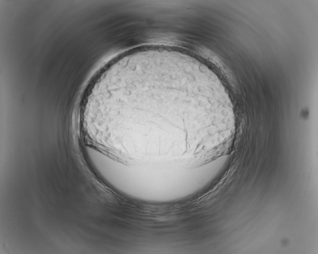 X0000116271323201001111006