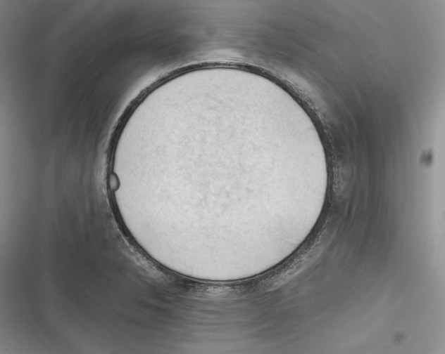 X0000116271326201001111006