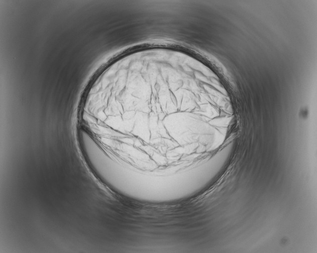 X0000116271327201001111006