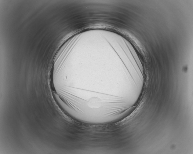 X0000116271329201001111006