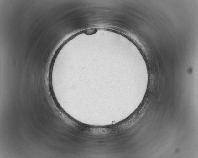 X0000116271331201001111006