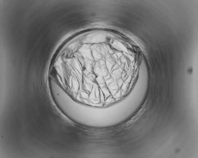 X0000116271334201001111006