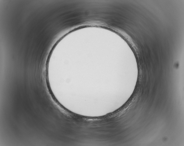 X0000116271335201001111006