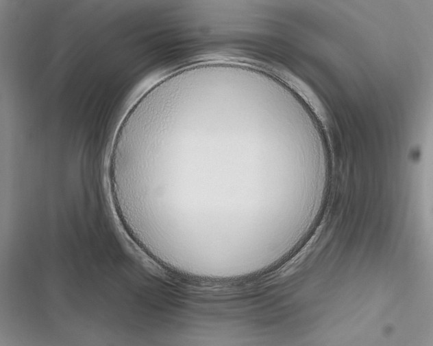 X0000116271338201001111006