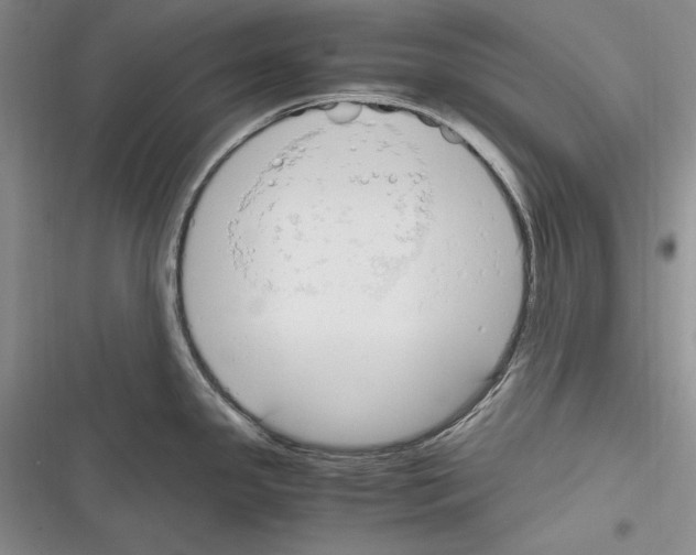X0000116271341201001111006