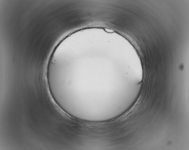 X0000116271342201001111006