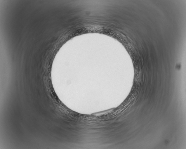 X0000116271345201001111006