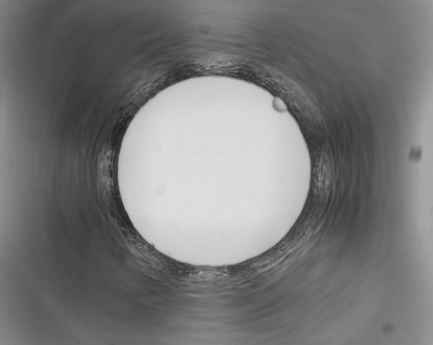 X0000116271346201001111006