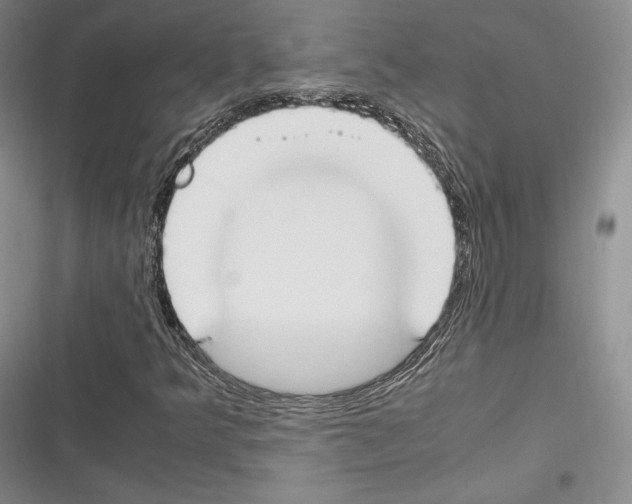 X0000116271349201001111006