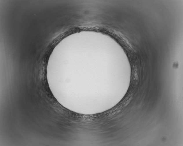 X0000116271350201001111006