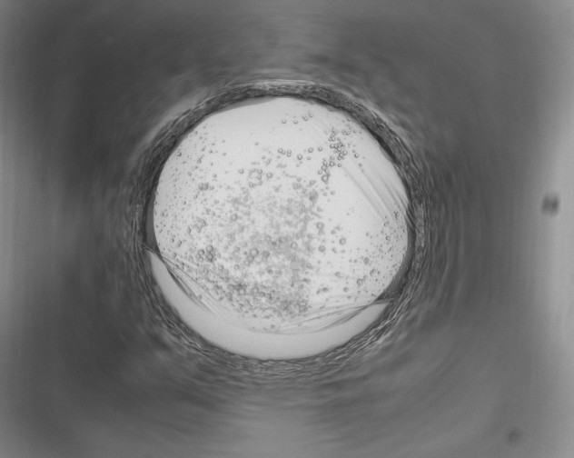 X0000116271351201001111006