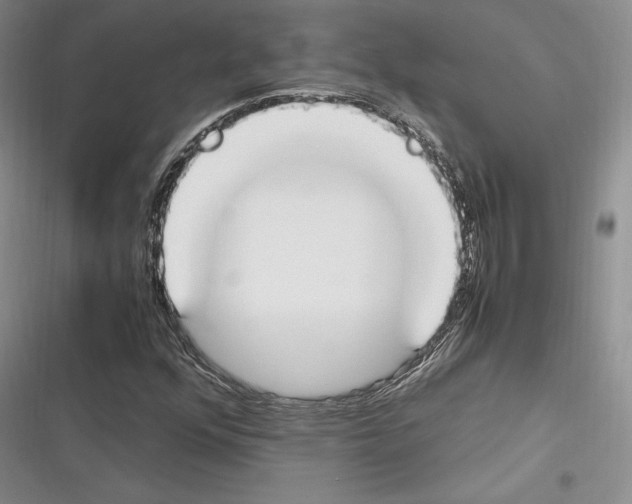 X0000116271352201001111006