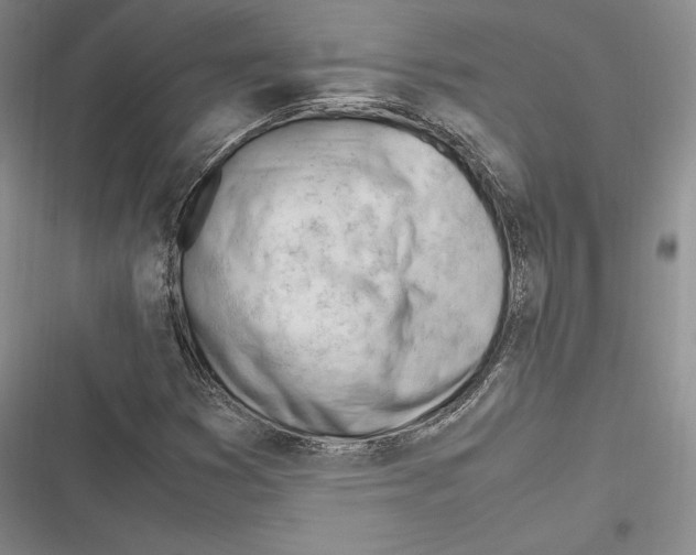 X0000116271353201001111006