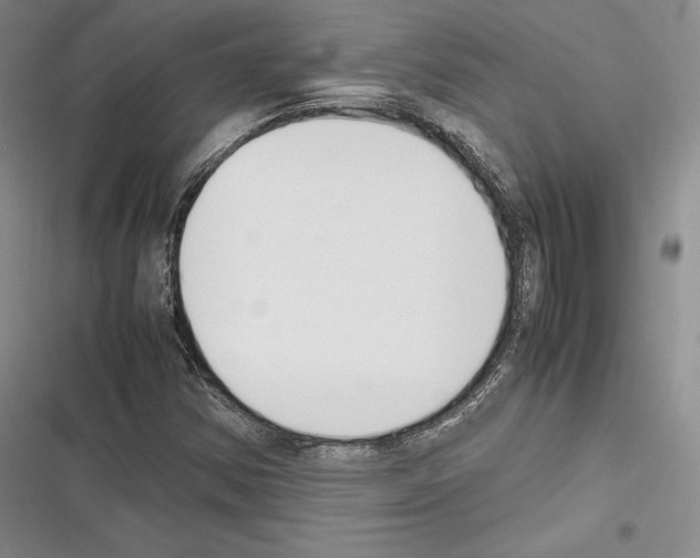 X0000116271354201001111006