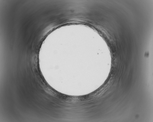 X0000116271355201001111006