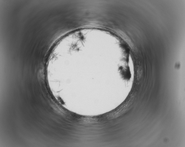 X0000116271356201001111006